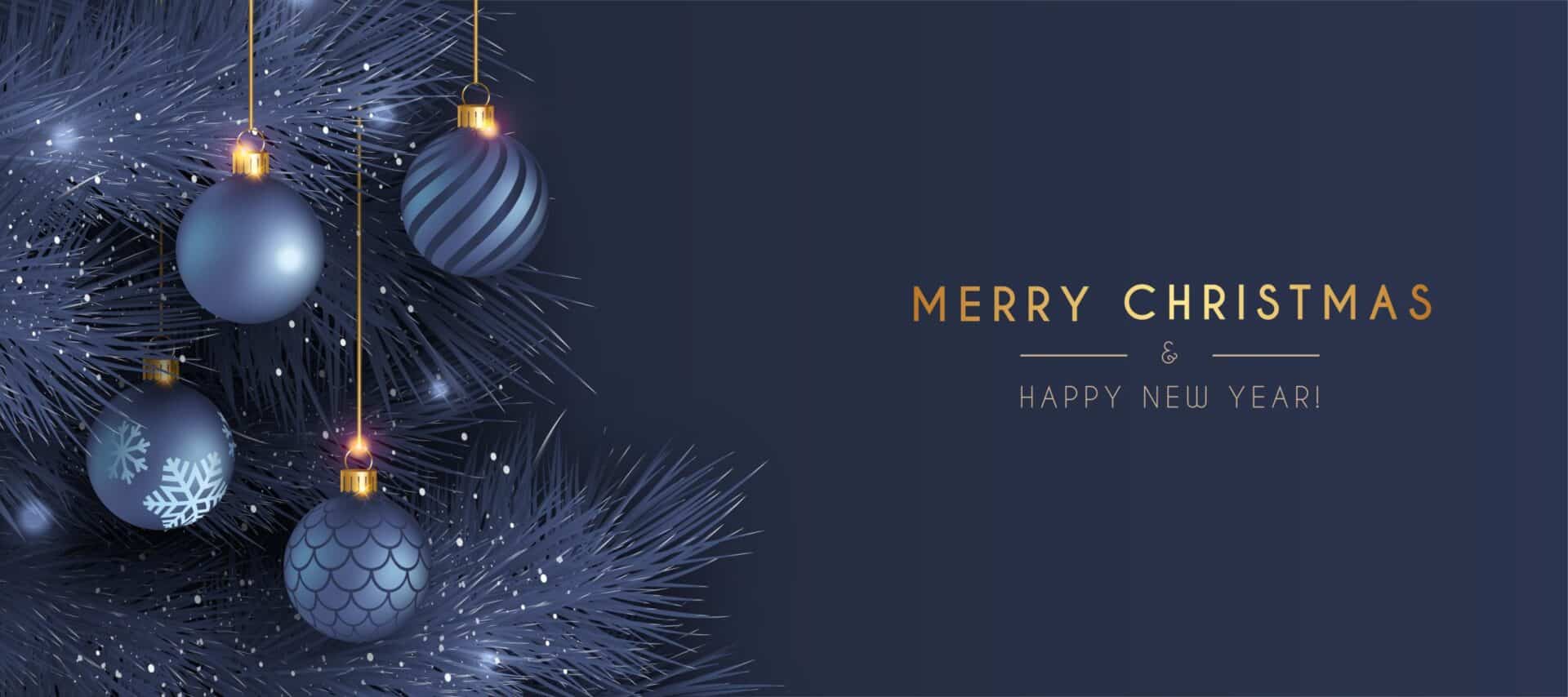 Merry Christmas seasonal greeting graphic from Vanguard Industrial Group.